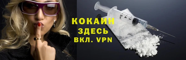 сатива Богородицк