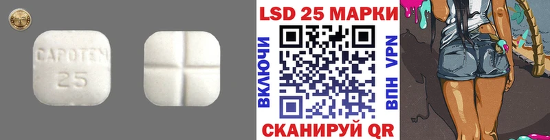 Купить закладки  Петухово  LSD-25 экстази ecstasy 