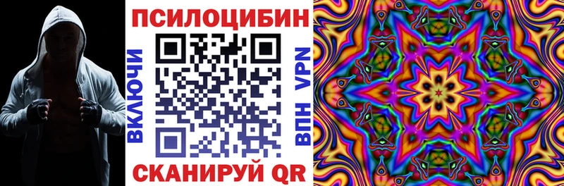 Псилоцибиновые грибы Cubensis  Купить где  Петухово 
